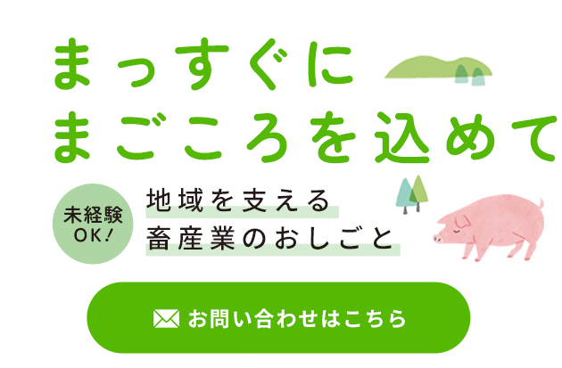 未経験からスタートできる環境