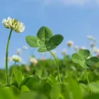 プライバシーポリシー